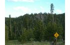 Property photo 36 - Get Lost in the Pristine Northern Colorado Rockies - Prime Building Sites